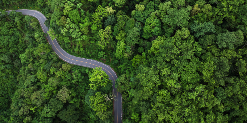 How EVs Help the Environment