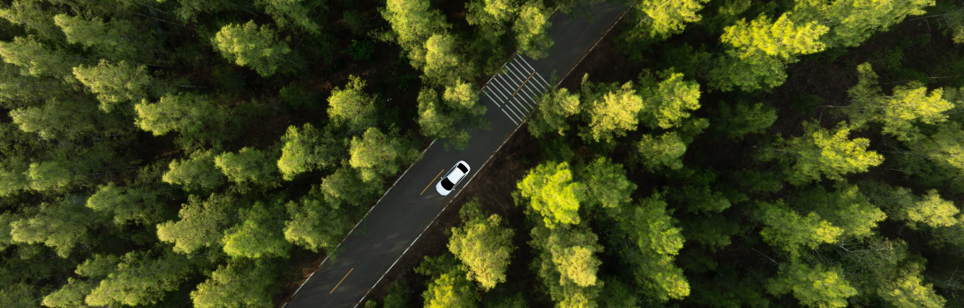 enviro.png