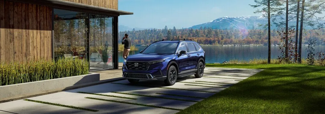 suv 1.jpeg
