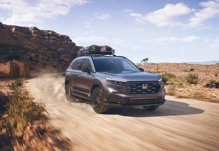 suv 2.jpg